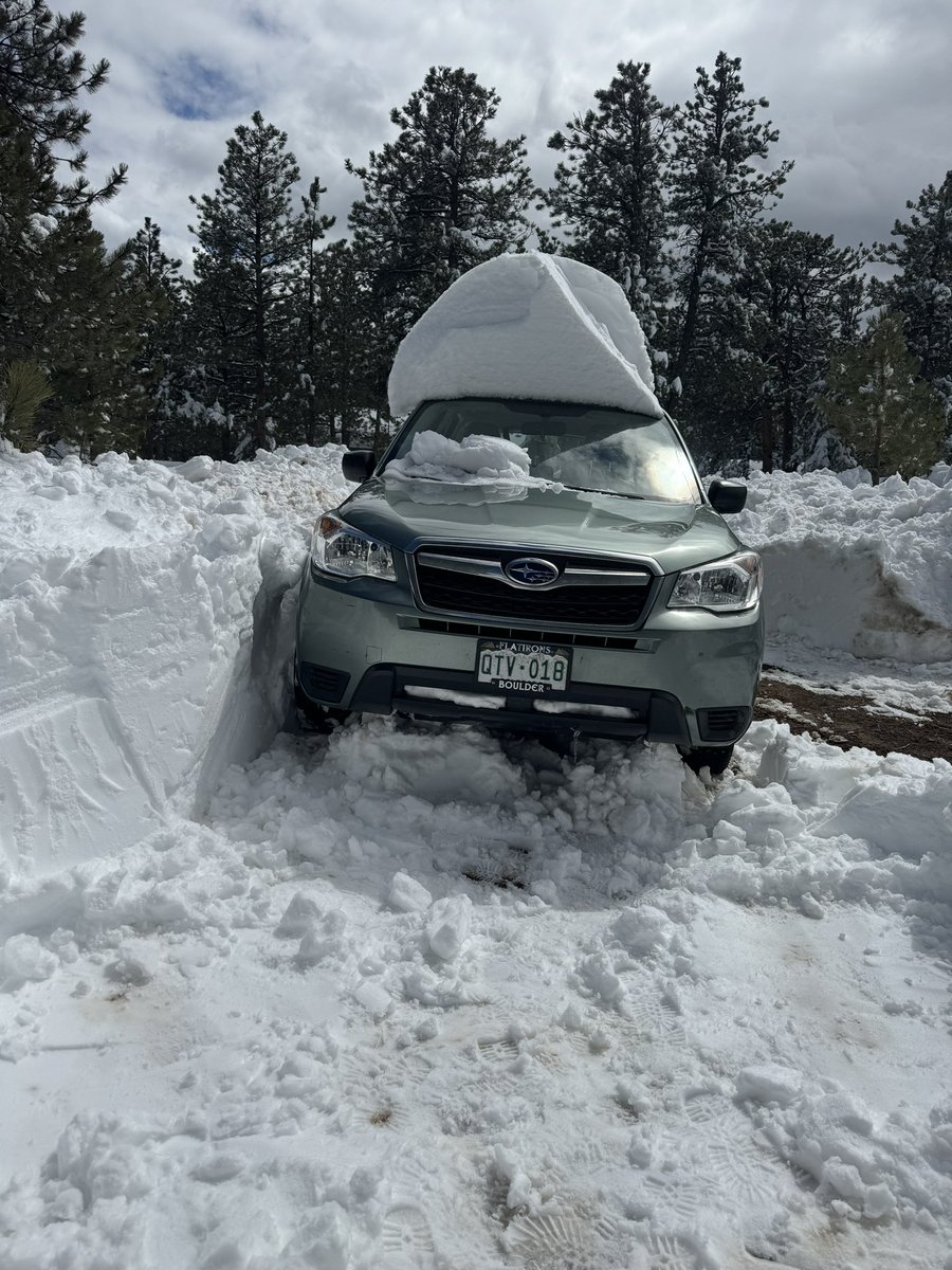 Check it out fam: CARWIFHAT 🤪

#Cardano #CardanoADA #CardanoNFT 
#CNFTCommunity #CryptoCommunity