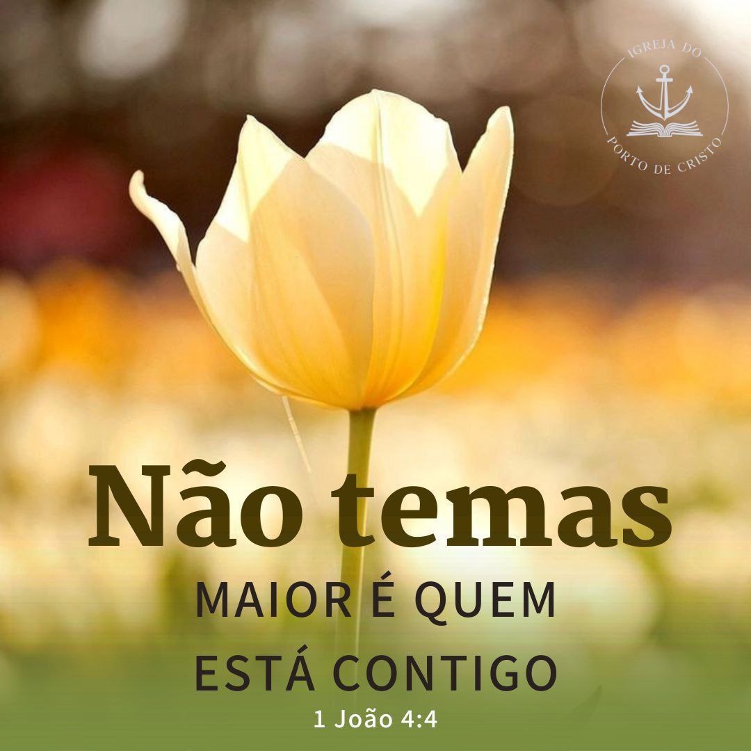 LidiaNatalya's tweet photo. Amém. 👍 ✨️🌹✨️🥰✨️💕 https://t.co/N0REVECieg