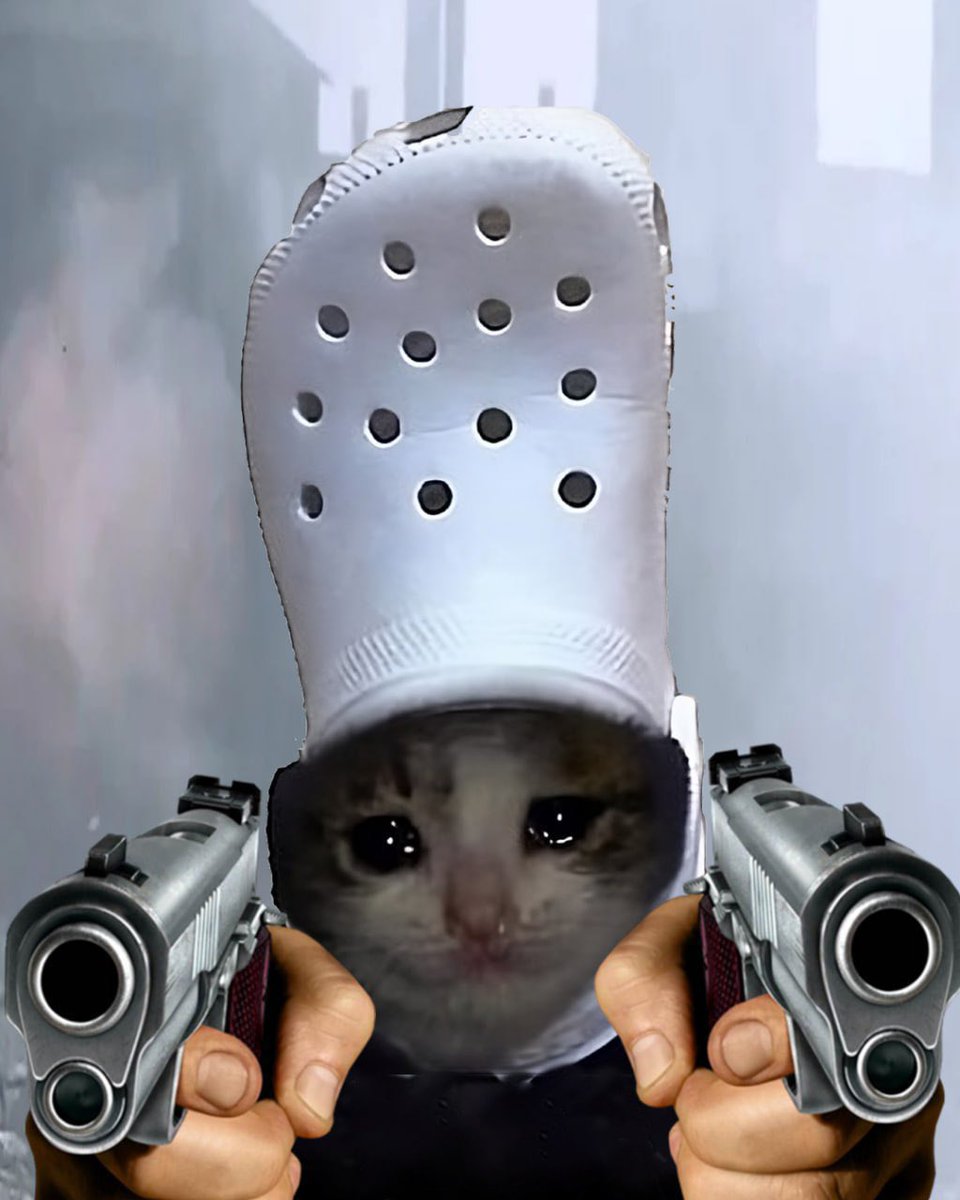 ItzzMrA's tweet photo. @level941 ITS A CAT WIF A $CROC ON ITS HEAD!
Die hard CROCcers grinding EVERYDAY πͺπΌ
#crocstayson #croccat https://t.co/4DJWBmtp4E