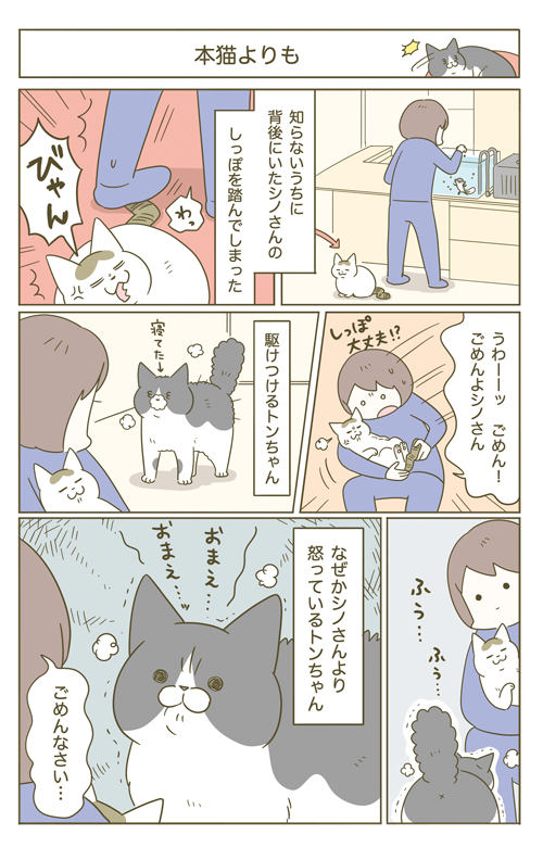 🐱「おまえ…ッ!」 