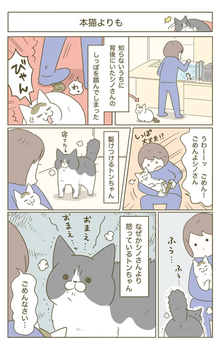 🐱「おまえ…ッ!」 