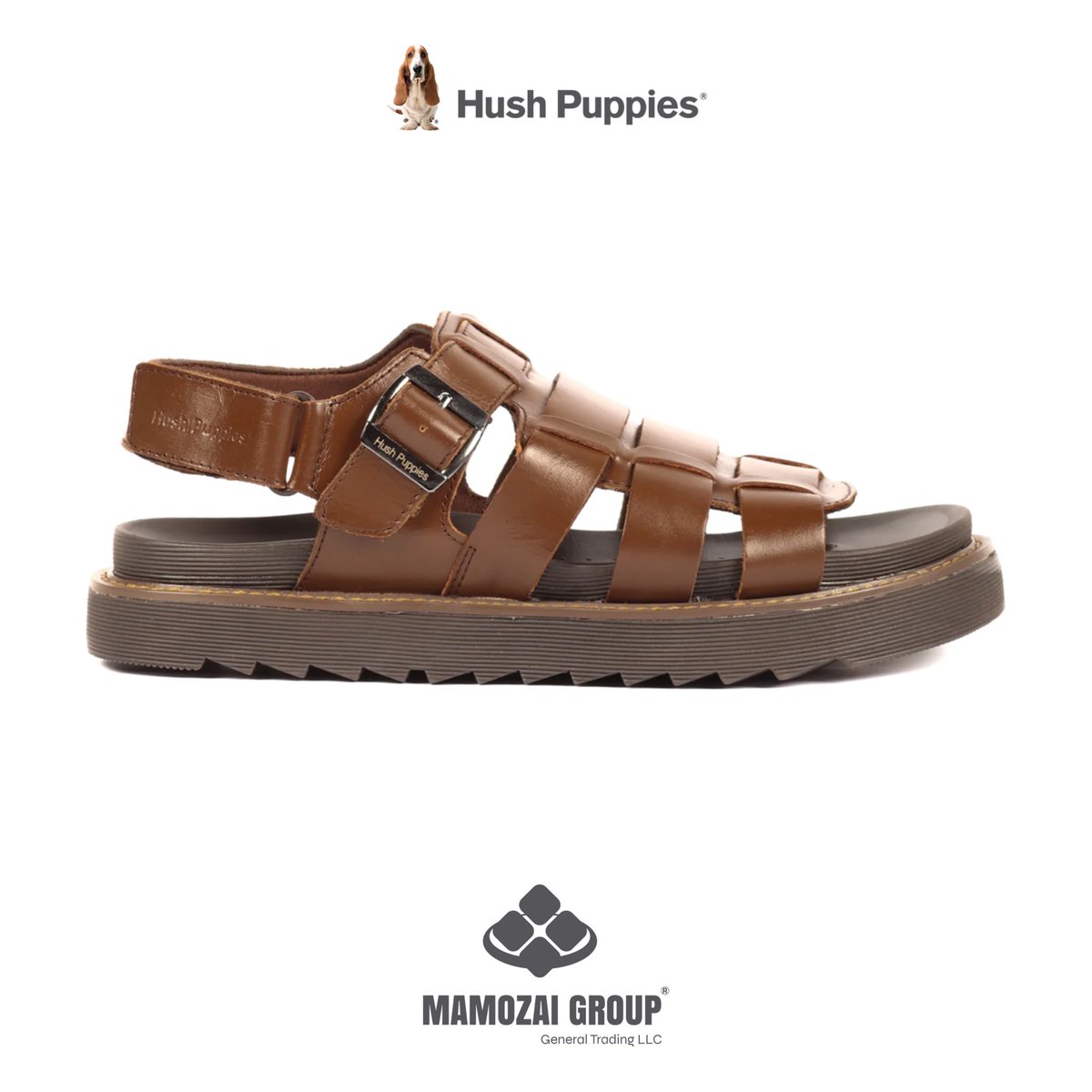 HushPuppiesAf's tweet photo. Hush Puppies® Rodrigo Ace
New Arrivals - Freshly Picked
Let your feet celebrate Eid in style.
#HushPuppiesAf #EidFootwear #Eid
Shop your favorite pair now!
Price: AFN 3,950
Size: 40 | 41 | 42 | 43 | 44 | 45
Hurry Up Limited Stock
#LearningWithComfort #NewArrivals https://t.co/Yv3LQ07Wrc