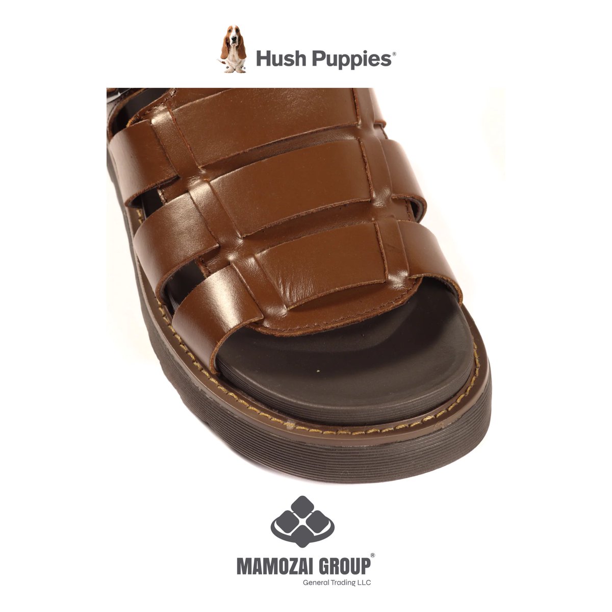 mamozaigroup's tweet photo. Hush Puppies® Rodrigo Ace
New Arrivals - Freshly Picked
Let your feet celebrate Eid in style.
#HushPuppiesAf #EidFootwear #Eid
Shop your favorite pair now!
Price: AFN 3,950
Size: 40 | 41 | 42 | 43 | 44 | 45
Hurry Up Limited Stock
#LearningWithComfort #NewArrivals https://t.co/opox7JScmb