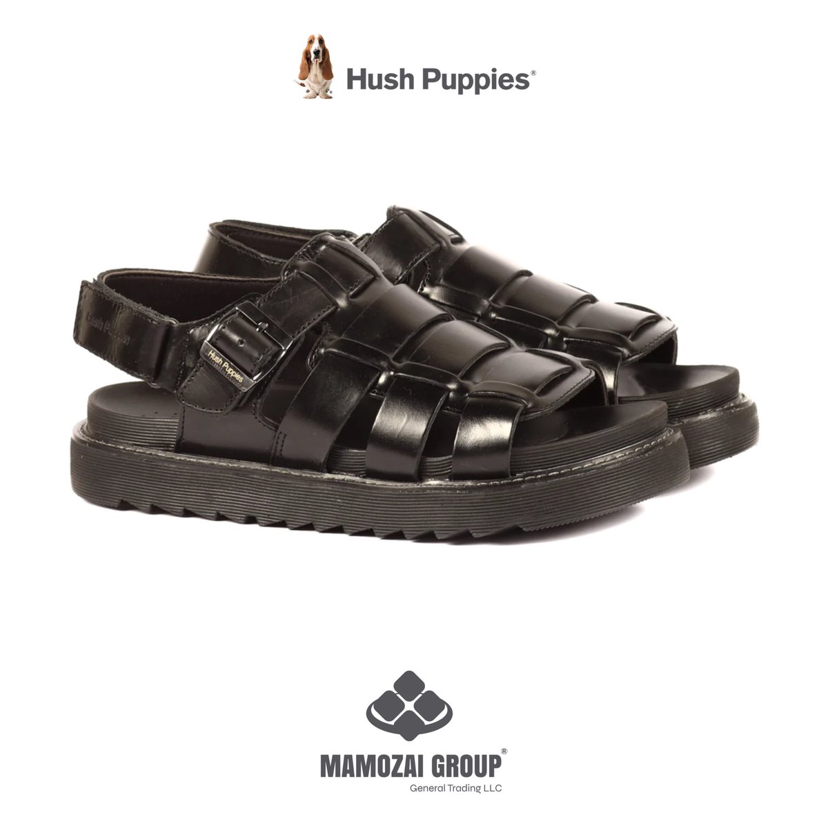 mamozaigroup's tweet photo. Hush Puppies® Rodrigo Ace
New Arrivals - Freshly Picked
Let your feet celebrate Eid in style.
#HushPuppiesAf #EidFootwear #Eid
Shop your favorite pair now!
Price: AFN 3,950
Size: 40 | 41 | 42 | 43 | 44 | 45
Hurry Up Limited Stock
#LearningWithComfort #NewArrivals https://t.co/nlyW7jjtxp