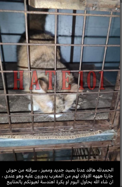 CatAbusers_CN's tweet photo. Madness continues, crossing over the border of #China and reaching to #Turkey &amp; #GCC countries . Terror/hate groups #c31k &amp; #hate101 released 'new' cat videos, which were found to be originated from #CatAbusersChina, specifically from the abuser Wang Chaoyi exposed previously https://t.co/4fxvwdVDq3