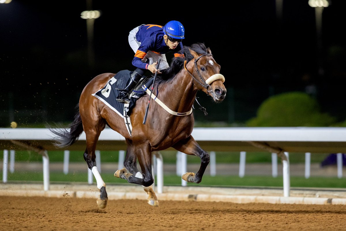 JockeyClub_SA's tweet photo. نتيجة الشوط الـ 9 الحفل ( 113 ) 

▫️الفائز : سائد
▫️المالك : عبدالرحمن سعيد عبدالله السيد 
▫️المدرب : نايف المسعودي 
▫️الخيال : مهند النصار 
▫️المسافة : 1800م
▫️الزمن : 1:53.74

#نادي_سباقات_الخيل 🐎 https://t.co/CQNJm0SgRD
