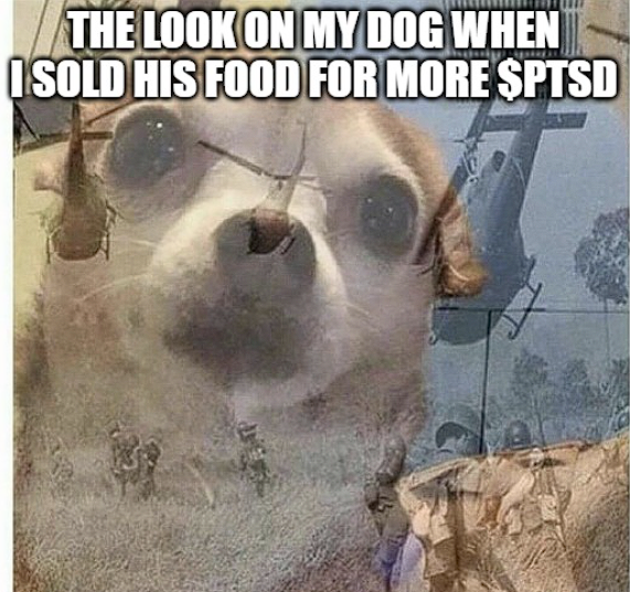 dogwifptsd's tweet photo. Lil doggie is going through it right now 

$PTSD https://t.co/v2OkQPaSs1