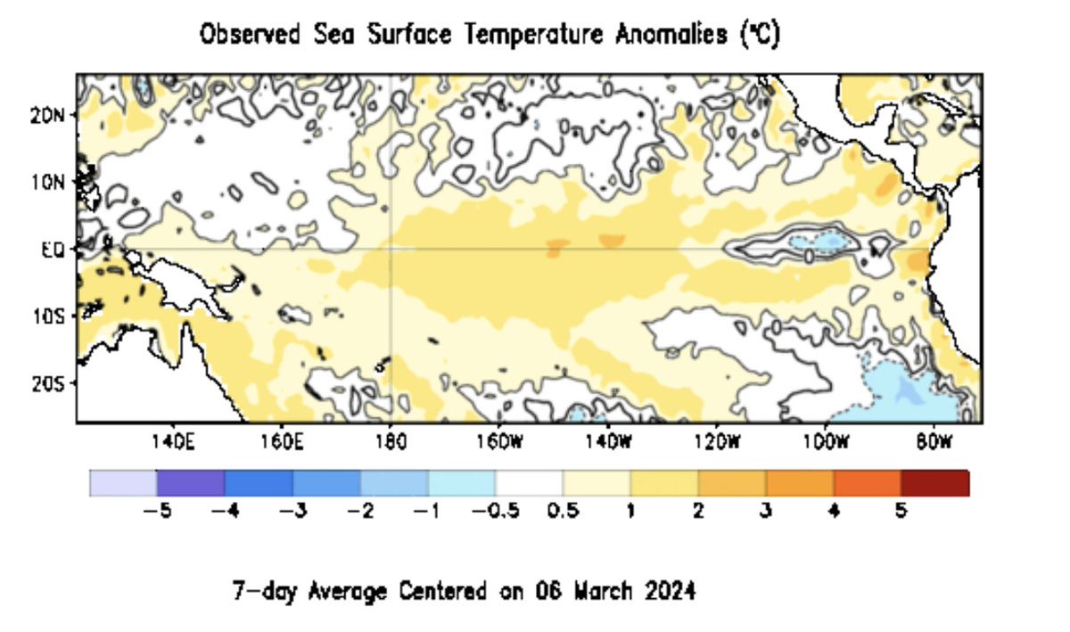MichaelEMann's tweet photo. As El Nino gives way to La Nina, we're seeing a drop-off in global sea surface temperatures (as some of us said would happen). The problem was never about one or two years--it's about the TREND. Planet will continue to warm until carbon emissions reach zero. 
Truth is bad enough! https://t.co/Z5SophMej5