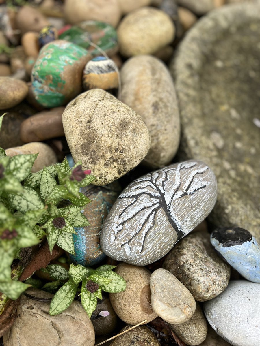 Bassetlaw hospice is waking up, spring is on its way <a href="/BassetlawHospic/">Bassetlaw Hospice</a>
