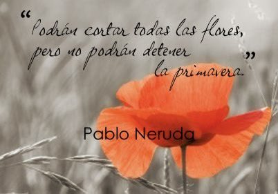 Jesús Tapia tweet media