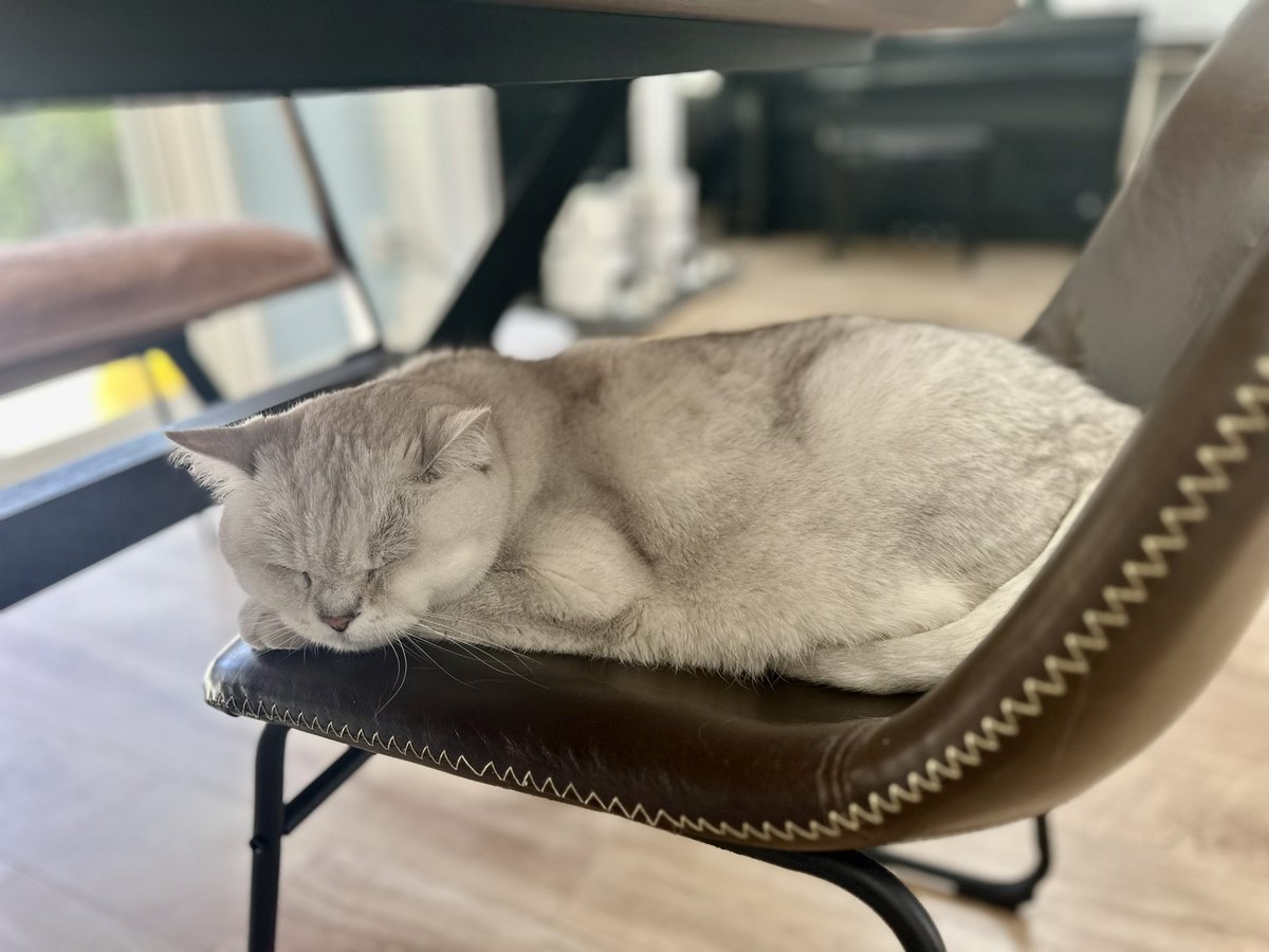 fitty200's tweet image. Relaxing with mommy ❤️