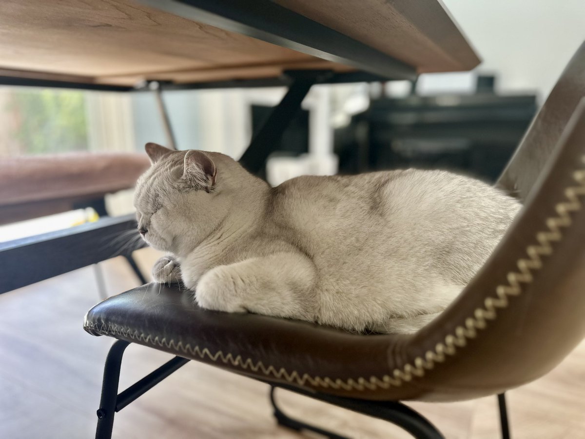 fitty200's tweet image. Relaxing with mommy ❤️