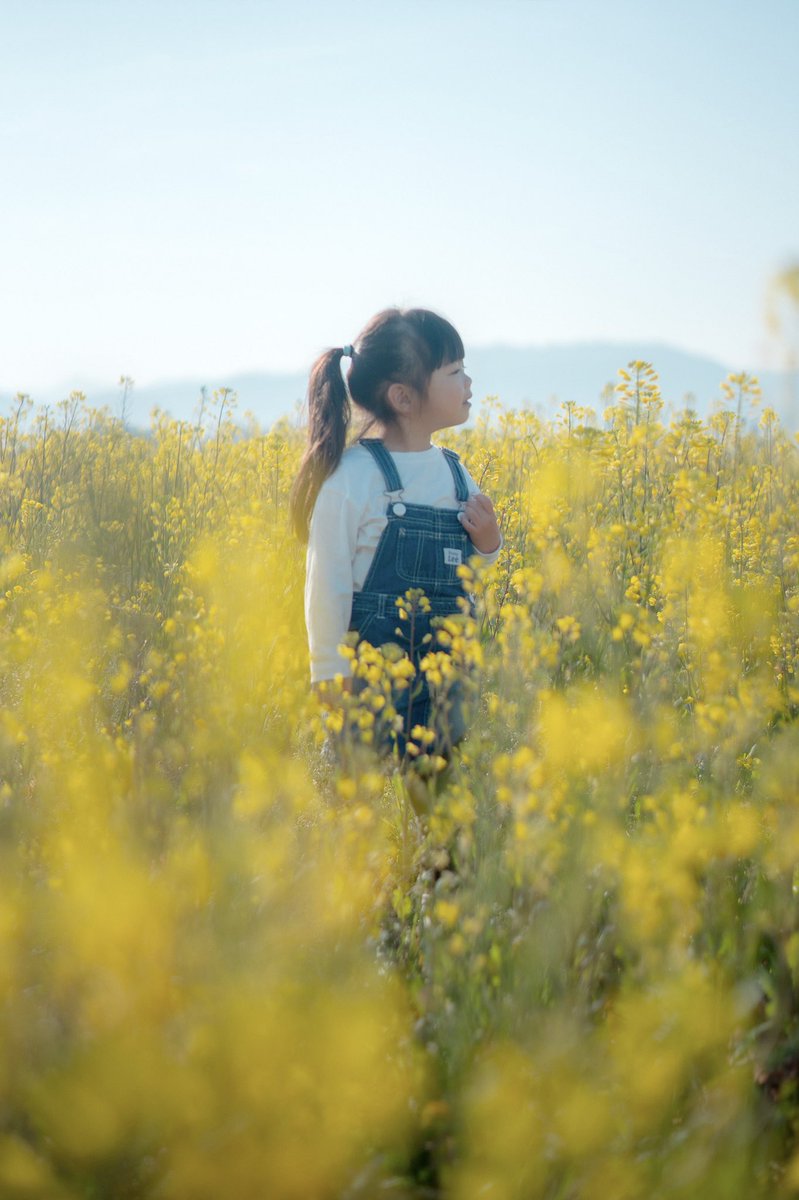 あみちゃんとの朝のさんぽで黄色い世界に包まれてきた🌼

#写真
#sonyα
#yurapapa_photo
#写真で人の心を癒したい
#菜の花