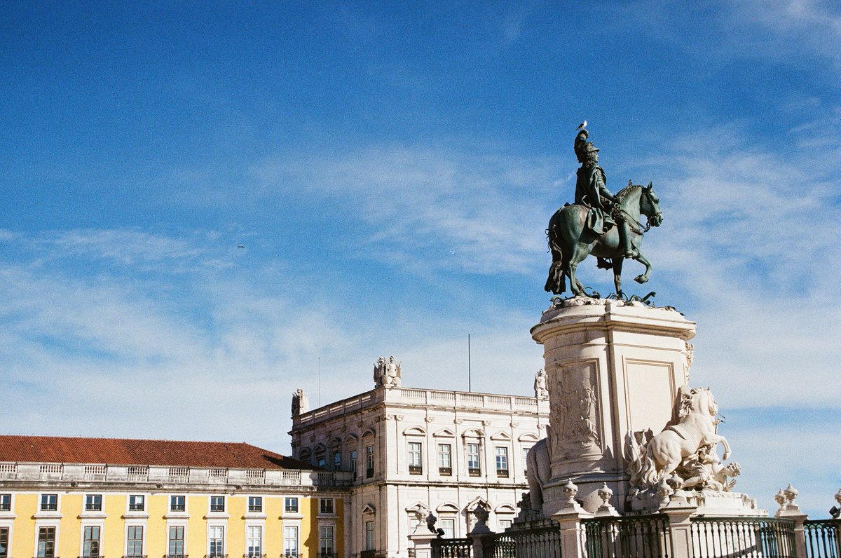 jakkdaveed's tweet image. in colour