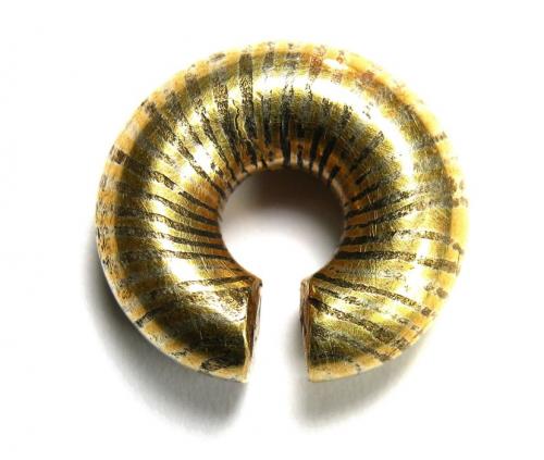 Tess Machling tweet media