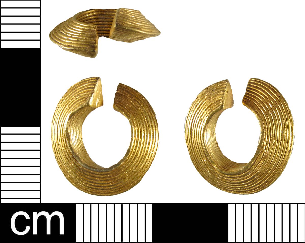 Tess Machling tweet media