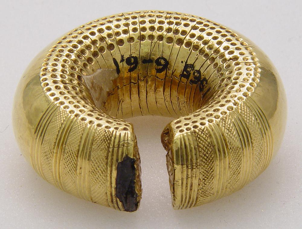 Tess Machling tweet media