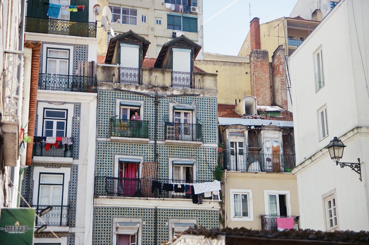 jakkdaveed's tweet image. in colour