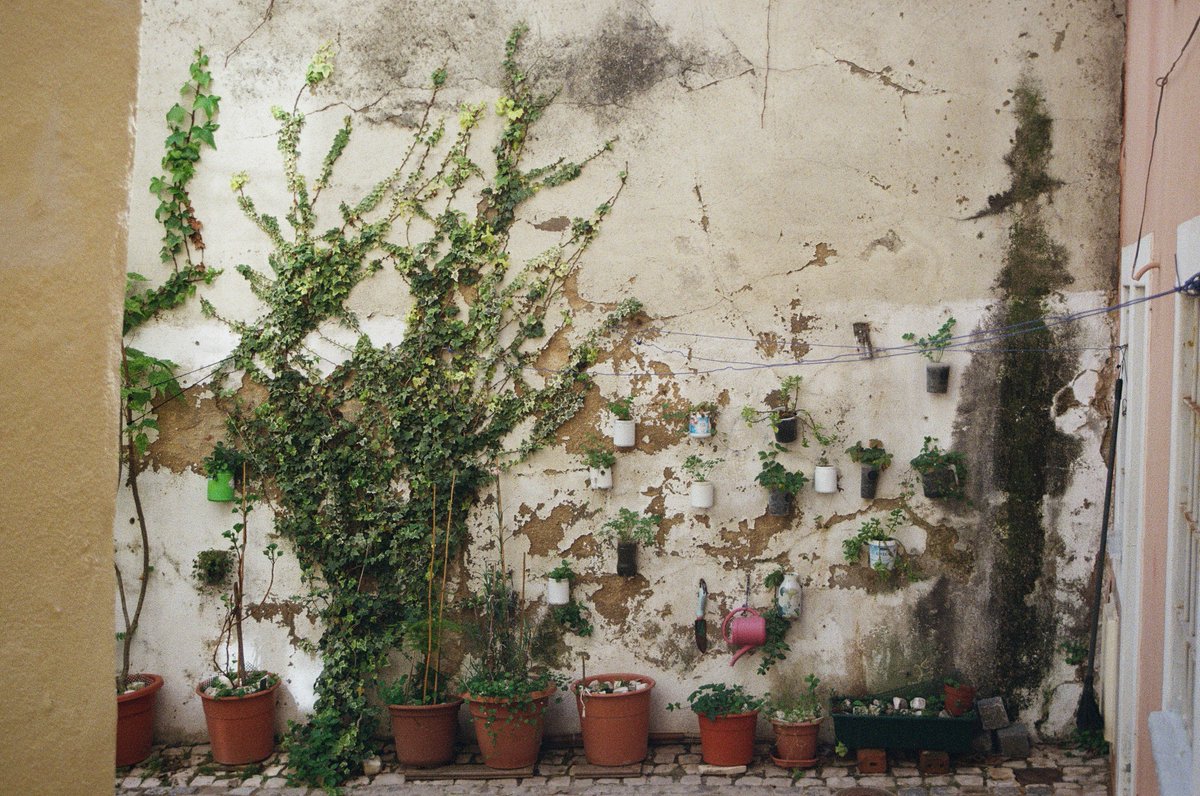 jakkdaveed's tweet image. in colour