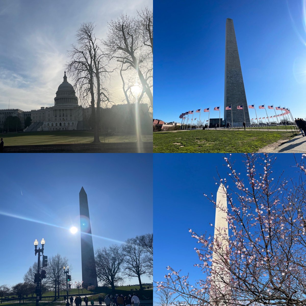 Had a great time this week collaborating with leaders from Oregon, and across the nation, to advocate for education in Washington, DC!
#PrincipalsAdvocate
@WeAreLOSD <a href="/COSALeaders/">COSA</a>
<a href="/NAESP/">National Assoc. of Elementary School Principals</a>