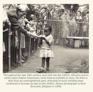_simpli_shani's tweet photo. @Morbidful Africans were kidnapped from Africa and brought to be exhibited in the human zoos and many of them died quickly. The Human Zoo died out after WW II. Oddly it was Hitler who first banned them. The last was in Belgium in 1958. https://t.co/4KbTjdTvxW