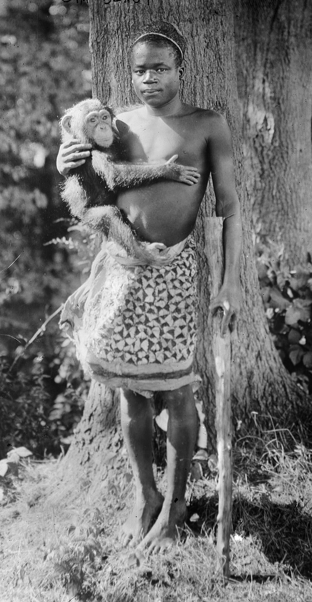 growing_curio's tweet photo. The story of his life:

Ota Benga was born around 1883 in the Ituri Forest of the Congo Free State, which is now the Democratic Republic of the Congo. He belonged to the Mbuti people, a group of Congo pygmies known for their nomadic lifestyle.

After returning from a hunting trip to find his village destroyed and his family killed, Benga was captured and sold into slavery. In 1904, he was discovered by American businessman and explorer Samuel Phillips Verner at a slave market. Verner brought Benga to the United States to be displayed at the Louisiana Purchase Exposition in St. Louis, Missouri, and later at the Bronx Zoo in New York City, where he was exhibited alongside an orangutan.

Following protests against his inhumane treatment, Benga was released from the zoo and placed in the care of James H. Gordon, who supervised the Howard Colored Orphan Asylum in Brooklyn. Benga was later moved to Lynchburg, Virginia, where he received tutoring in English and worked at a tobacco factory.

Benga longed to return to Africa, and efforts were made to facilitate his journey back. However, the outbreak of World War I in 1914 halted passenger ship travel, trapping him in the United States.

Struggling with depression and unable to return home, Ota Benga took his own life on March 20, 1916, in Lynchburg, Virginia. He was approximately 33 years old.

Benga’s story is a stark reminder of the dark aspects of colonialism and the exploitation of individuals for entertainment.