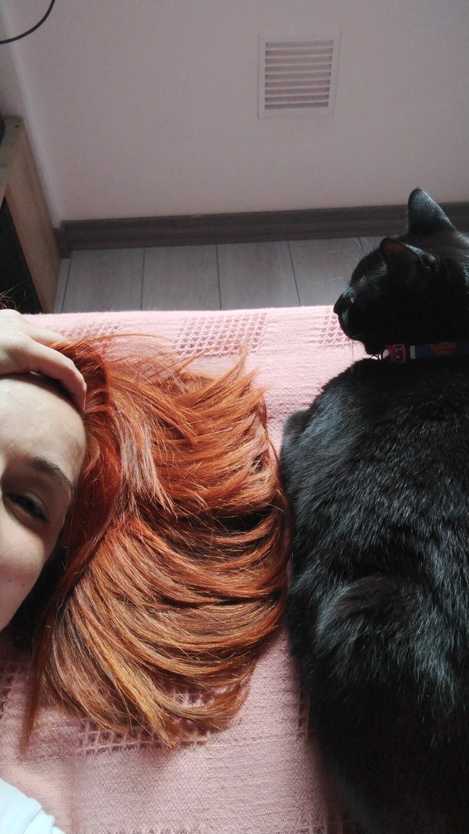 malvadaroja's tweet photo. Tarde ando https://t.co/aX1tMQen4V