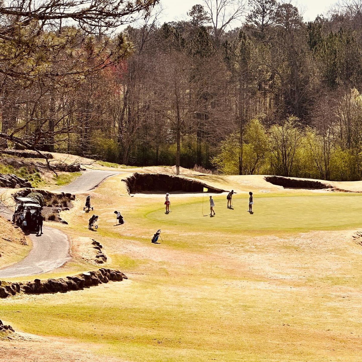 Mill Creek Golf Team tweet media