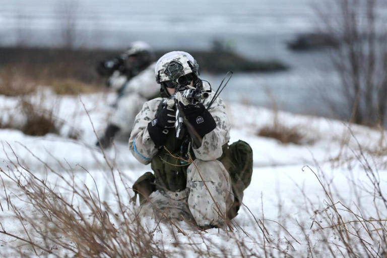 A heads up to Russia and China. U.S. troops training alongside Norway's forces isn't just about readiness – it's about mastering Arctic warfare, securing maritime routes, and defending shared interests.#Marines #Arctic   #ArcticSecurity #Military msn.com/en-us/news/wor…