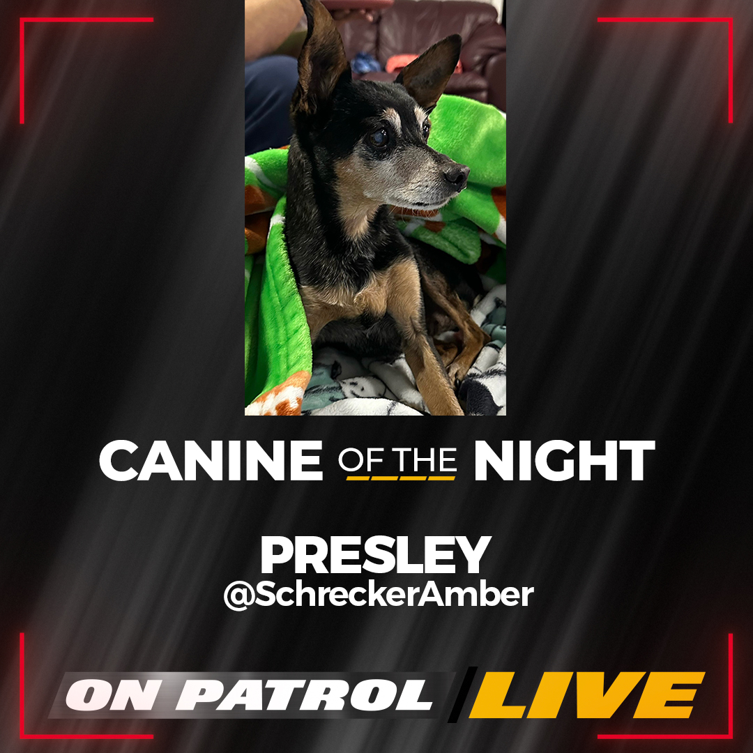 Congratulations Presley <a href="/SchreckerAmber/">amber schrecker</a>! You are the #CanineOfTheNight. Enjoy the show, Presley! 

#OnPatrolLive #OPLive #OPNation
