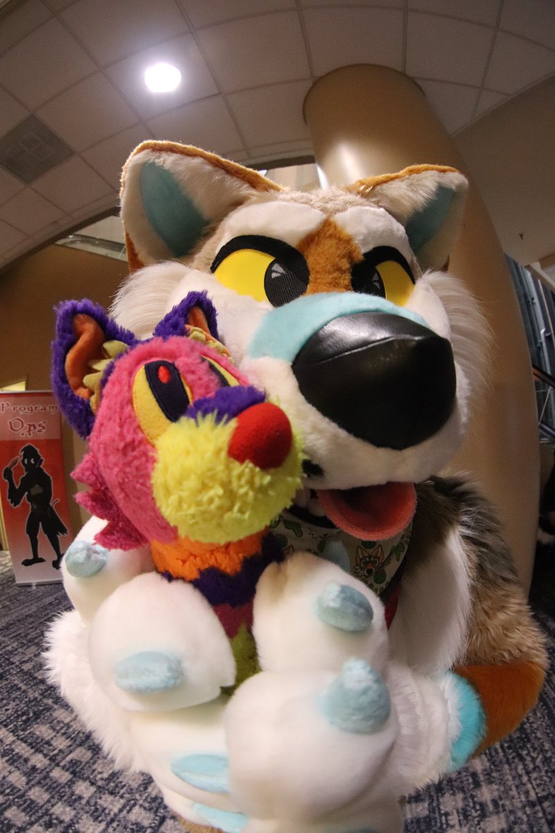 cheesebeagle's tweet photo. More pictures from what I finished posting, including over 700 pictures from @furthemore #furmore #furmore11 and pics taken with the Fisheye lens! Enjoy! https://t.co/LHUs7rAIJr https://t.co/PFgAwmod1e
