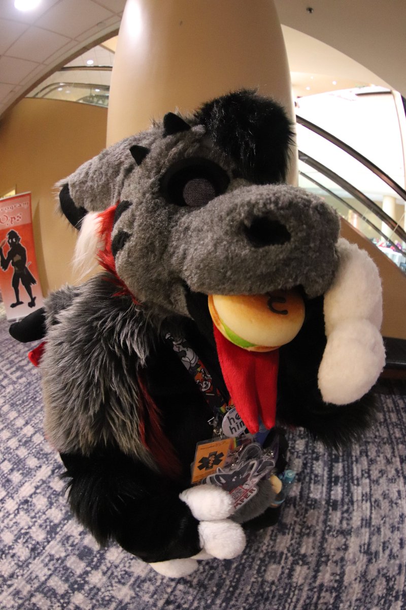 cheesebeagle's tweet photo. More pictures from what I finished posting, including over 700 pictures from @furthemore #furmore #furmore11 and pics taken with the Fisheye lens! Enjoy! https://t.co/LHUs7rAIJr https://t.co/PFgAwmod1e