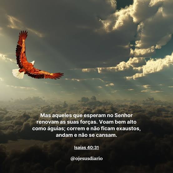 Os gratos são sempre mais felizes 🙌🙏