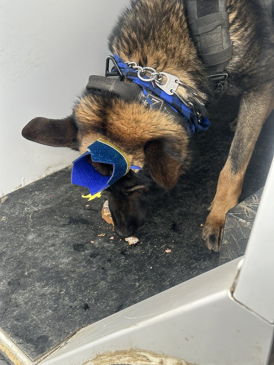 Sgt Stu 🇺🇸 tweet media