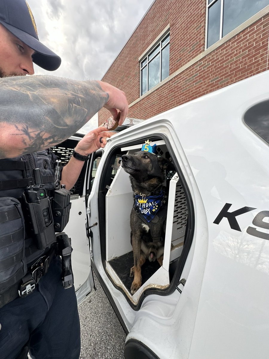 Sgt Stu 🇺🇸 tweet media