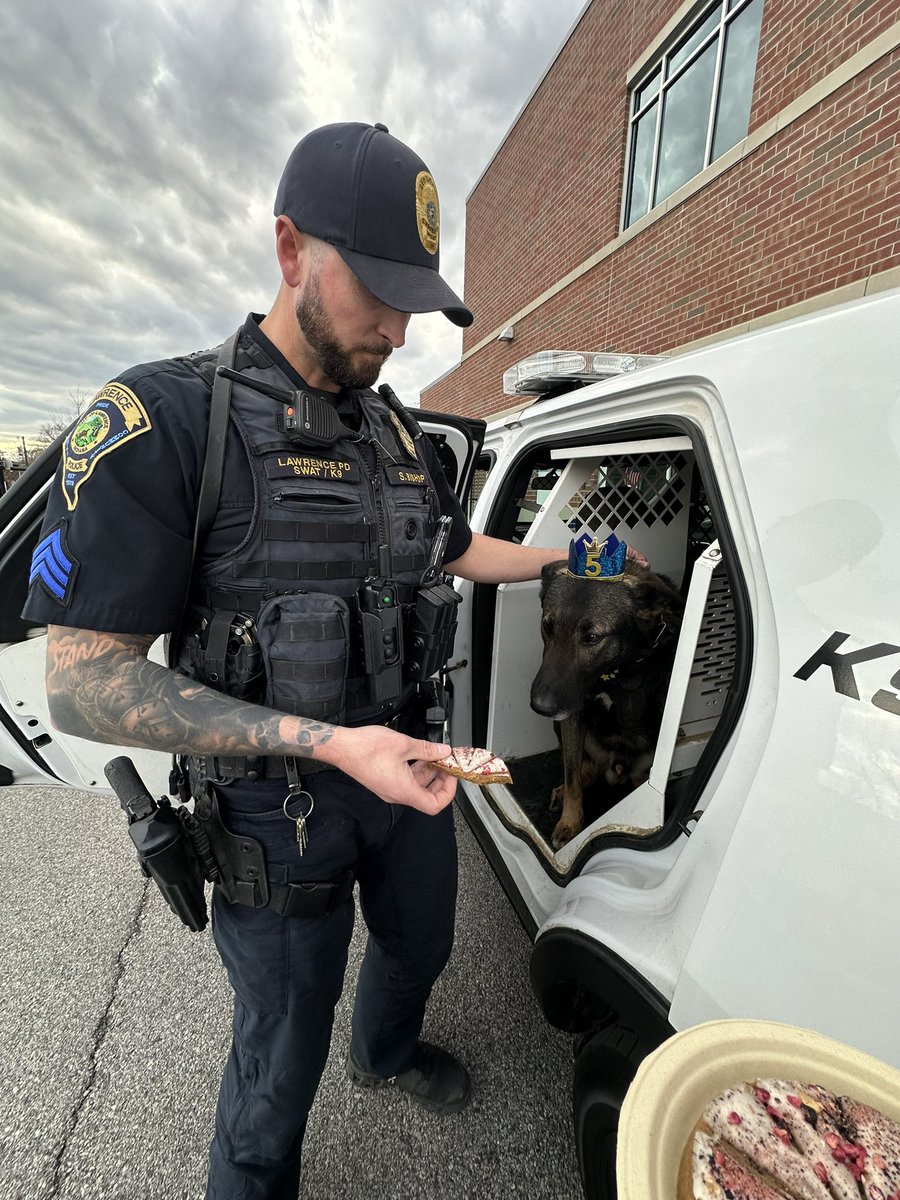 Sgt Stu 🇺🇸 tweet media