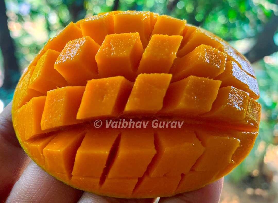 सुरज आंबेलकर🇮🇳 tweet media