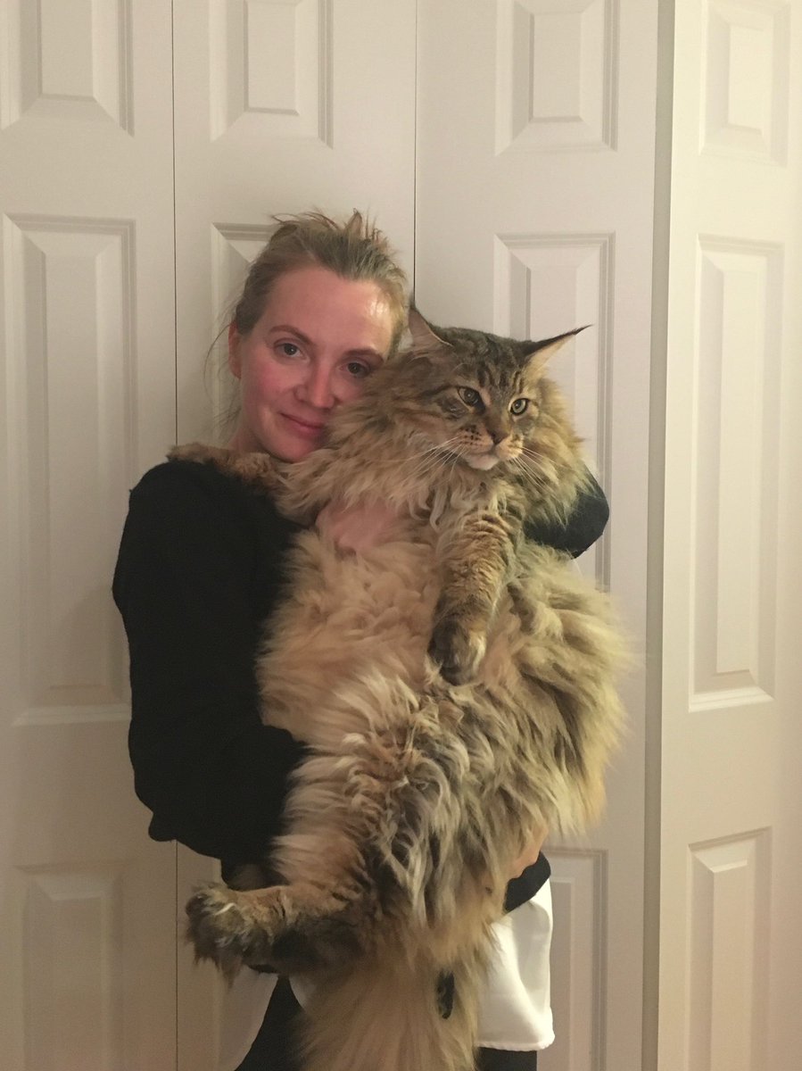 дедушка ЭЭХ (@vladgorr) on Twitter photo 