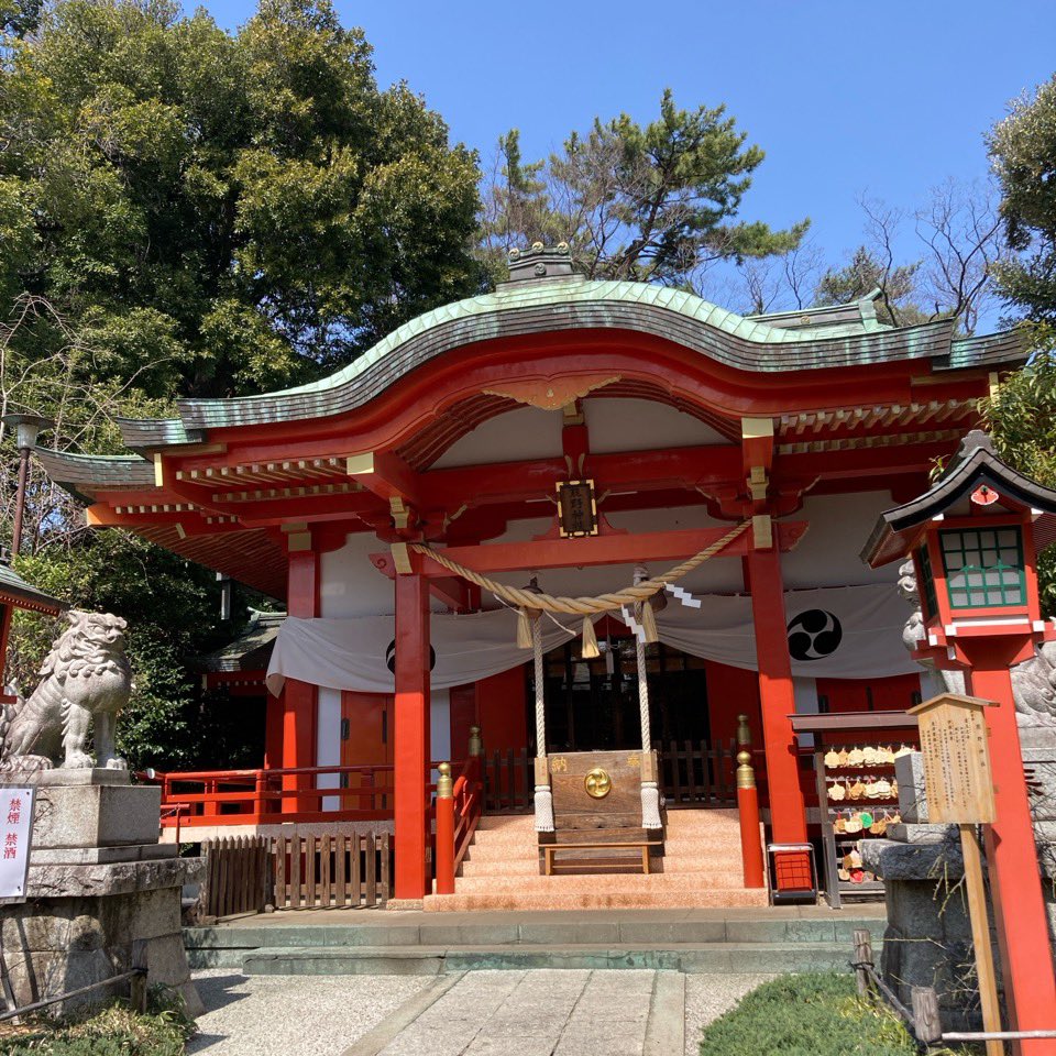快晴〜🌸気温も初夏並みの陽気ですが、しかし！春の強風🌬️🌬️せっかくのヘアスタイルが💦💦既に乱れるという😭😭

#熊野神社 #学位記授与式