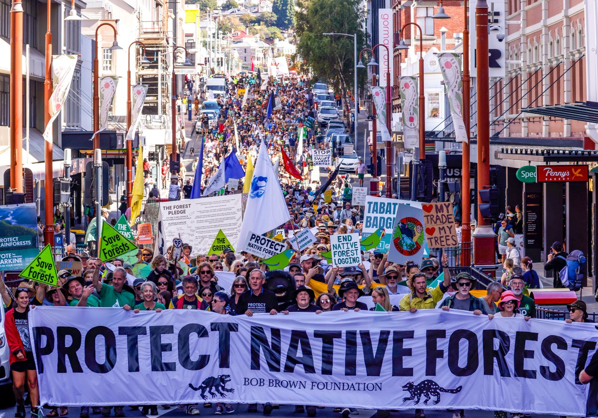 What an incredible turnout to our March for Forests in nipaluna / Hobart today! 3,000 people marched to call for an urgent end to #EndNativeForestLogging. Thank you to everyone who rose up for the protection of native forests. #politas 📷 Rob Blakers