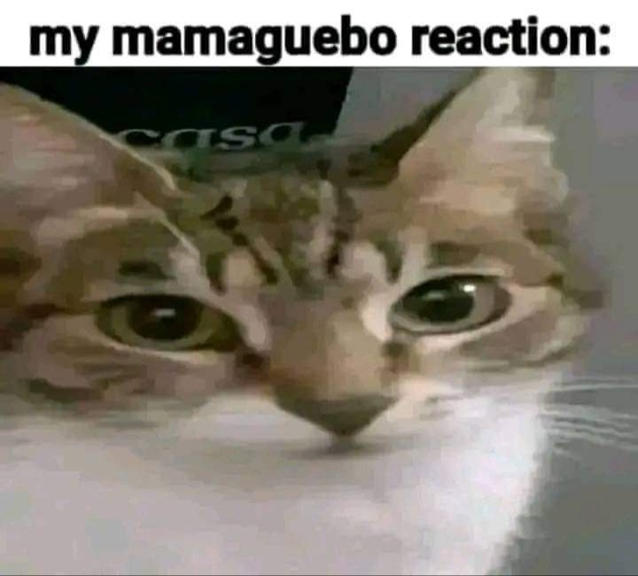 Más IRL porfa ‼️‼️ tweet media