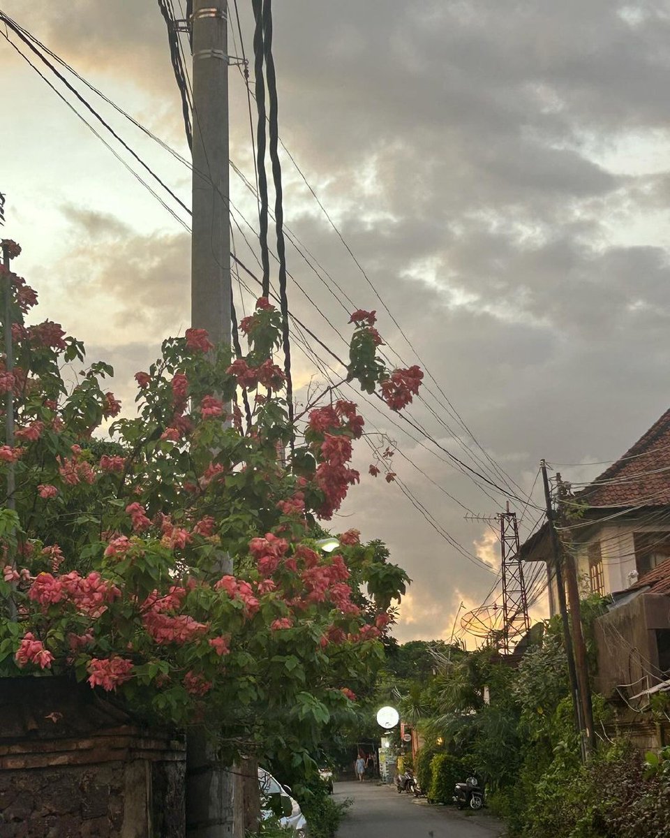 wonderfulid's tweet photo. #chaeyoung from @realfromis_9 enjoying #Bali! 🏝️🧉😍 

Have a lovely holiday in #WonderfullIndonesia!

https://t.co/INIw3rNB6w