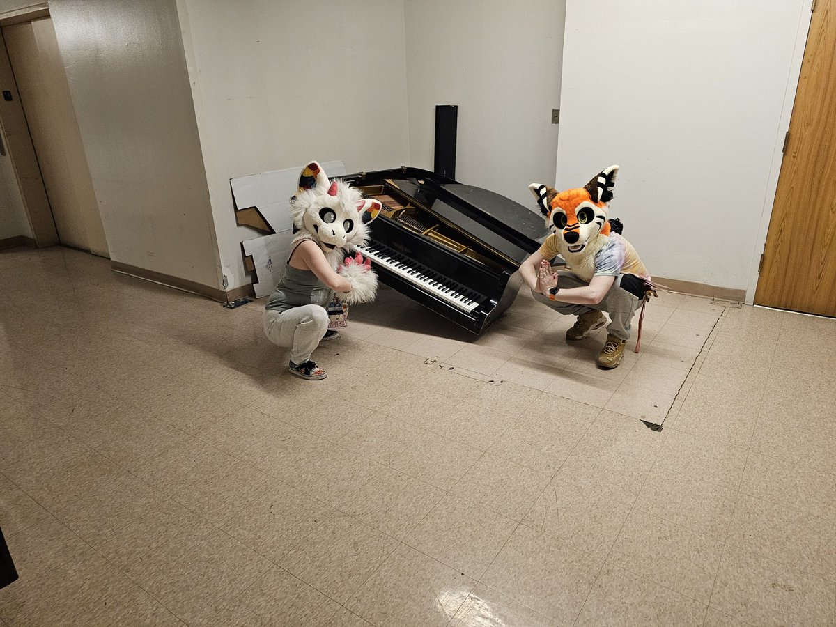 Doxisafox.Dj tweet media