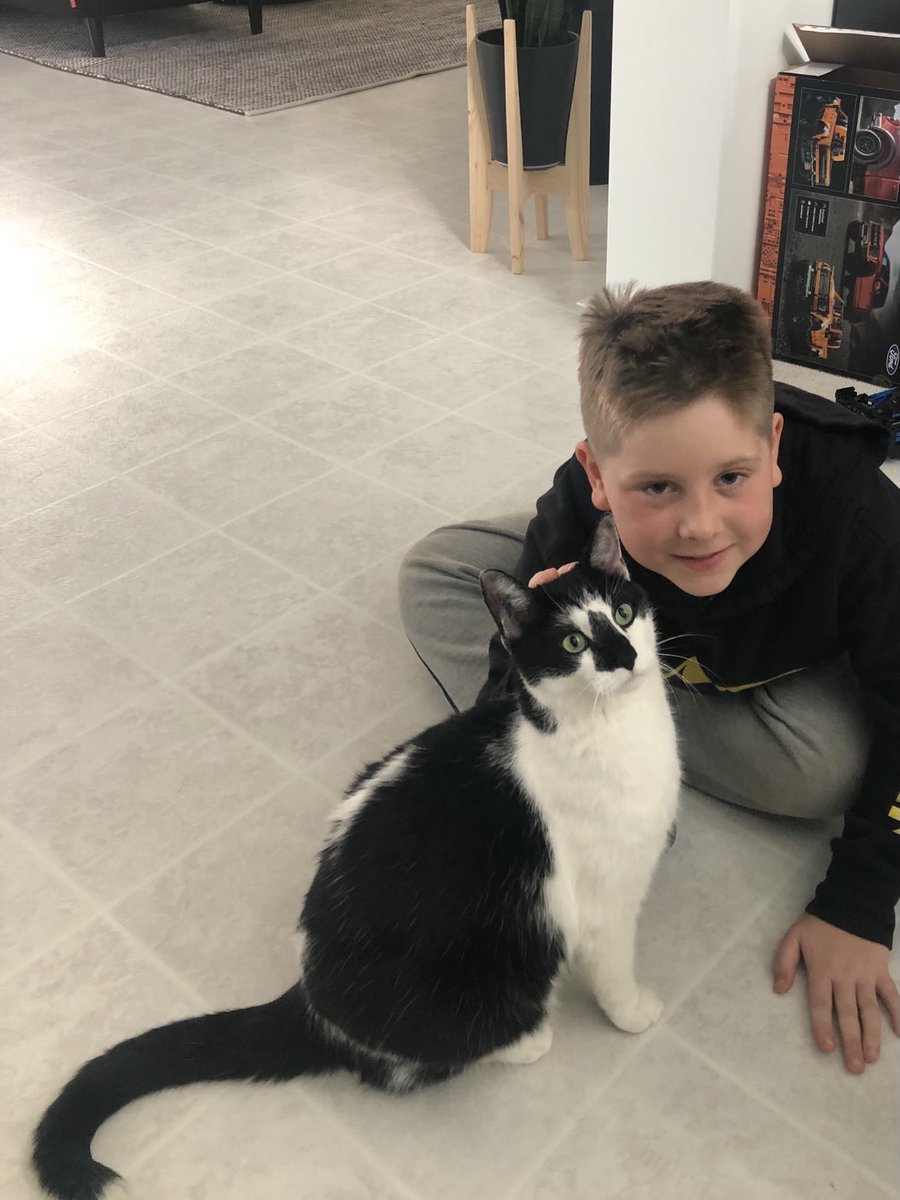 дедушка ЭЭХ (@vladgorr) on Twitter photo 