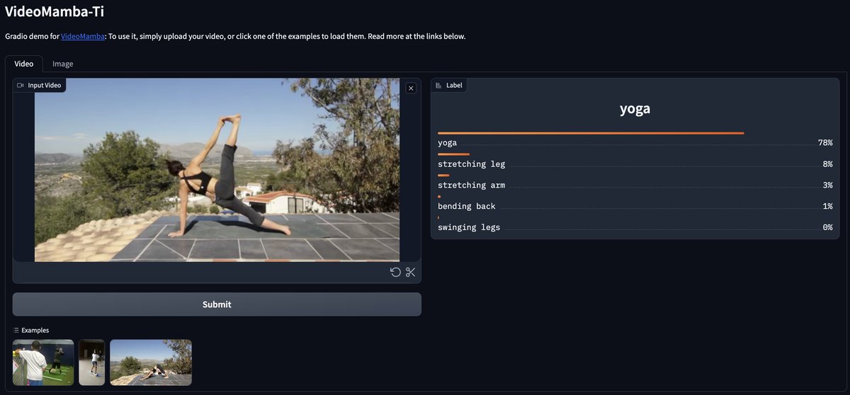 Demo is now available at huggingface.co/spaces/OpenGVL…

by <a href="/likunchang1998/">Kunchang Li</a>