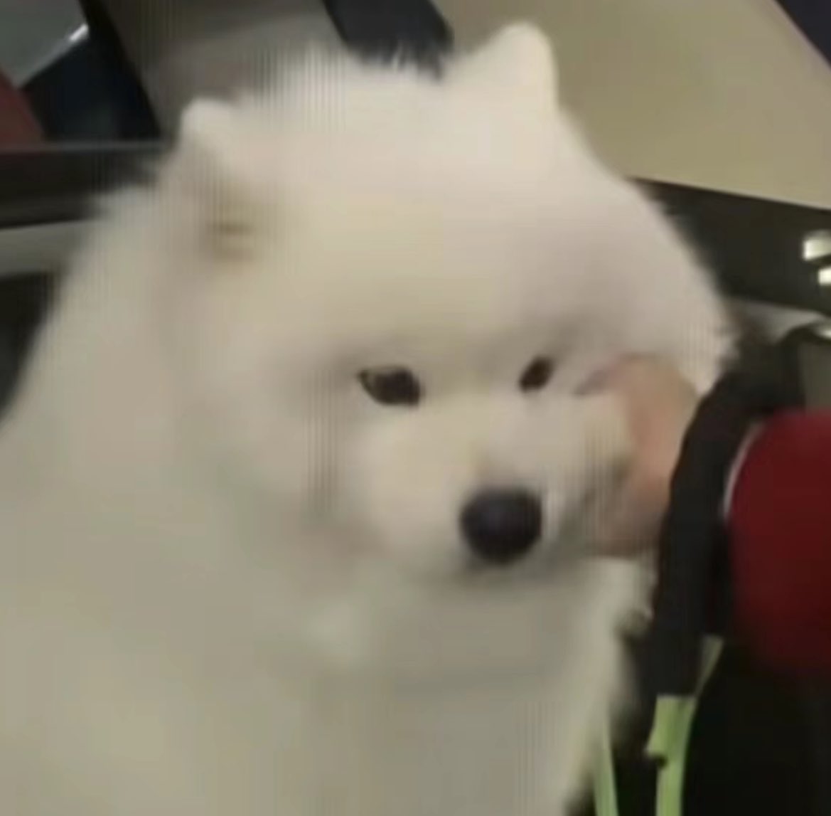 ไม่รักแล้วมาจับแจ้มทำไม