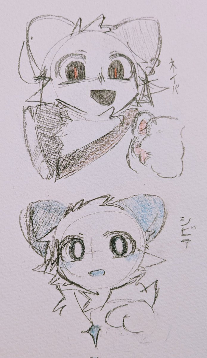 ねこすけ。 (@nekosuke4949) / Posts / X