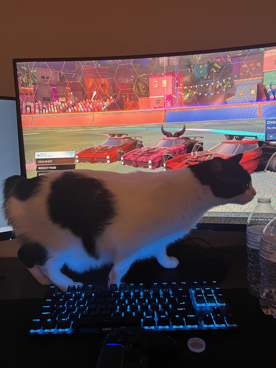 I’m trying to game…