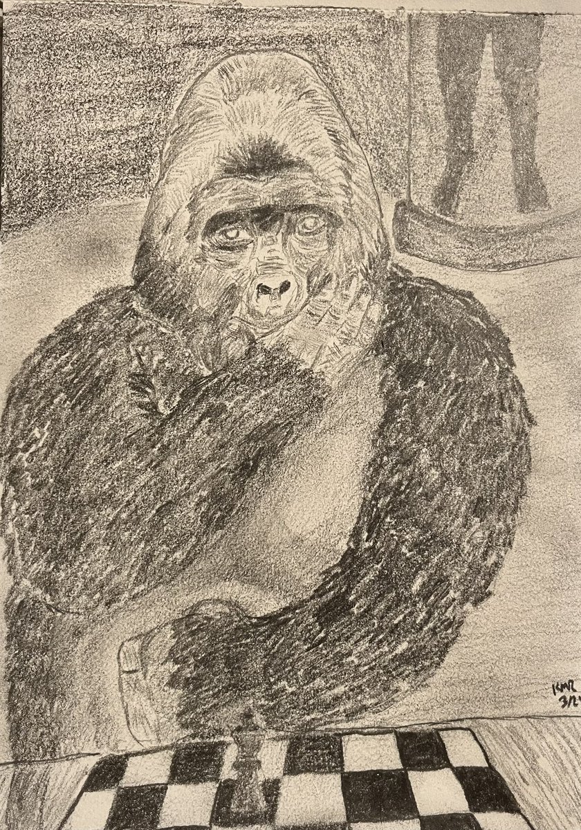 For the second prompt of this month’s #dcfanartclub challenge, we were to draw Gorilla Grodd.
Any picture I found showed him as an angry and violent creature so I showcased his intelligence.
First time using different types of pencils rather than one too.
#dccomics #gorillagrodd