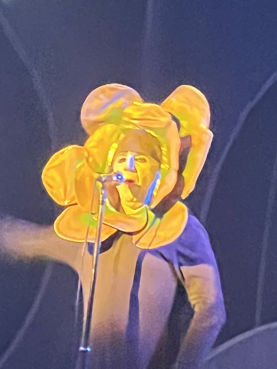 WebberUrology's tweet image. A flower?? Prog rock tonight courtesy of Genesis tribute act #TheMusicalBox @O2AcademyGla Great music and a shout out to the lovely security man who lent me an umbrella when I was queuing in the rain with no raincoat
